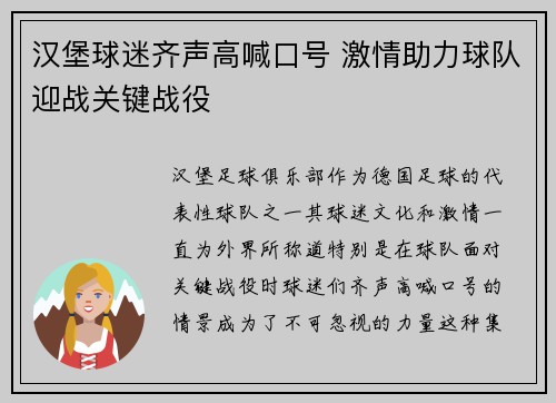 汉堡球迷齐声高喊口号 激情助力球队迎战关键战役