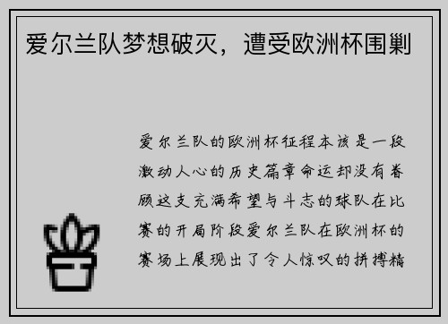 爱尔兰队梦想破灭，遭受欧洲杯围剿