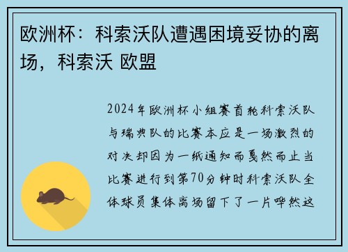 欧洲杯：科索沃队遭遇困境妥协的离场，科索沃 欧盟